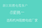 浙江阻燃電纜客戶(hù) 百里挑一 選購(gòu)杭州阻燃電纜廠家
