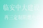 臨安中大建設再三定制阻燃電線