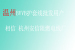 溫州BVVB護套線批發(fā)用戶 相信 杭州安信阻燃電線廠