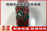 低煙無鹵雙絞線